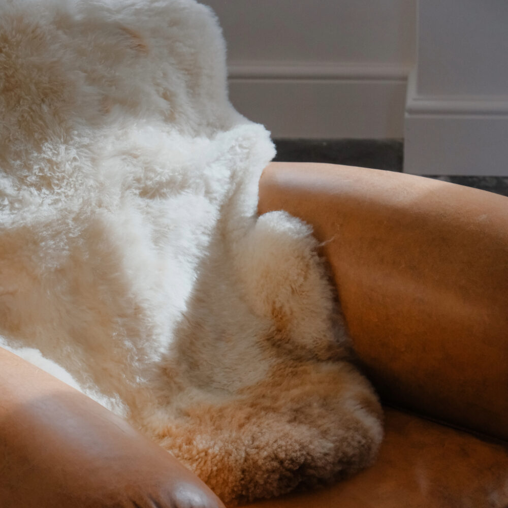 Shop Primary Image Shop Primary Image