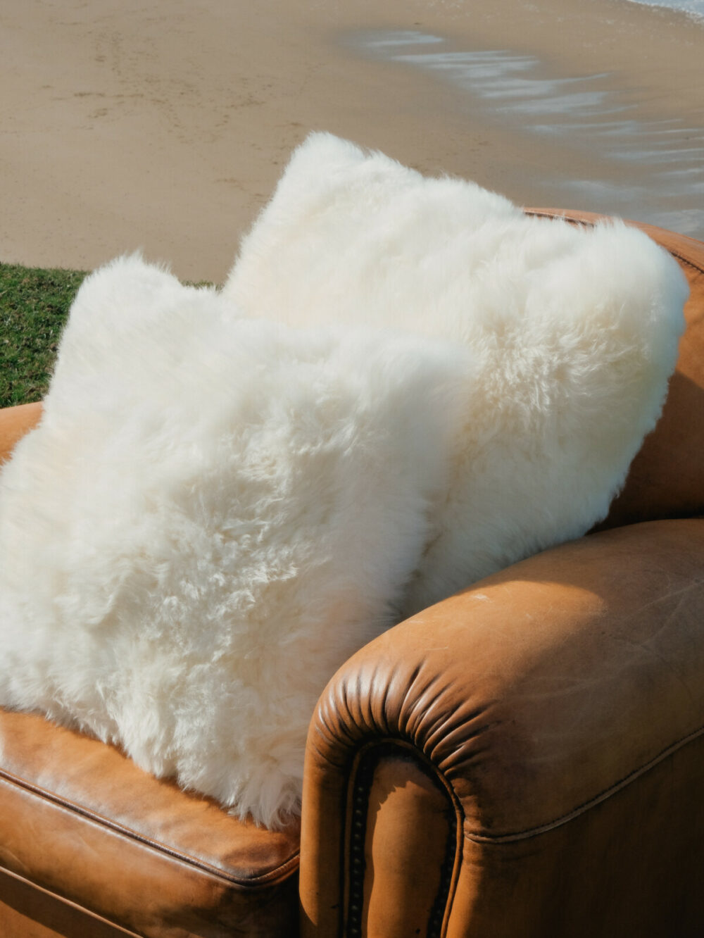 Sheepskin Cushion | Ivory