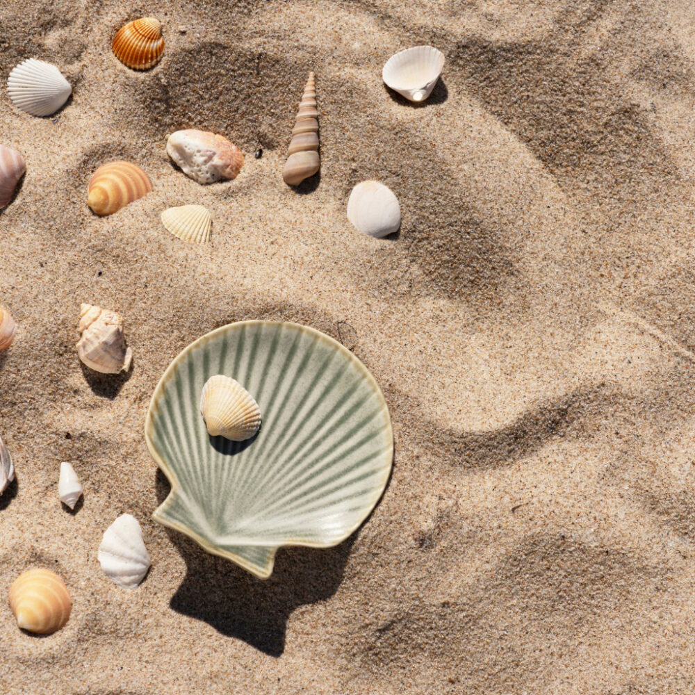 Shop Secondary Image Shop Secondary Image